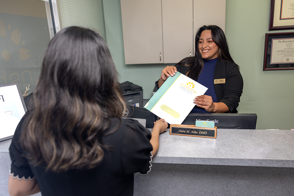 Best Dentist in Tampa